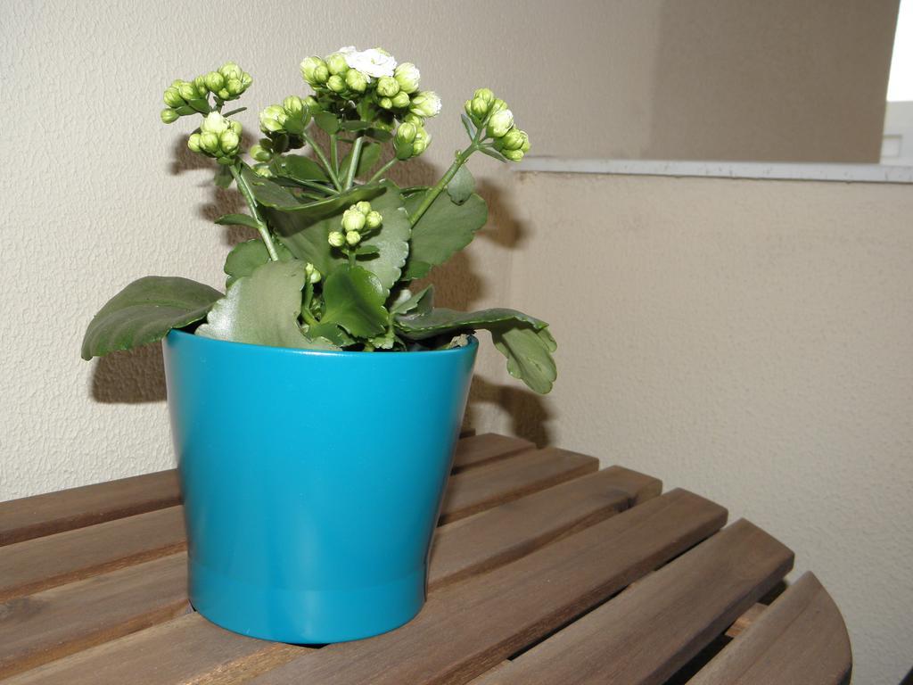 Apartamento En Jerez De La Frontera 2 外观 照片